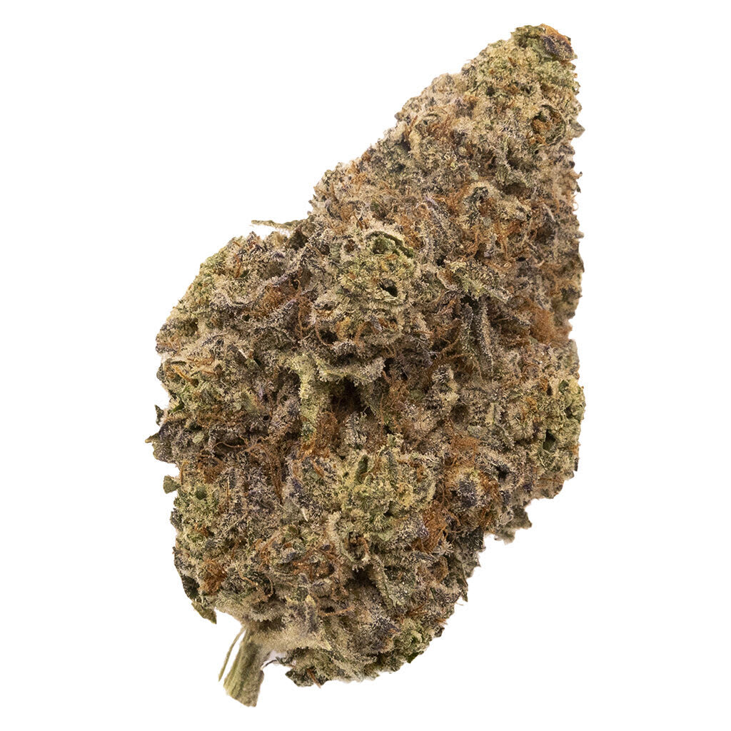 FIGR - Chatty Kathy - Dried Flower - FIGR - Chatty Kathy - Dried Flower - 7g